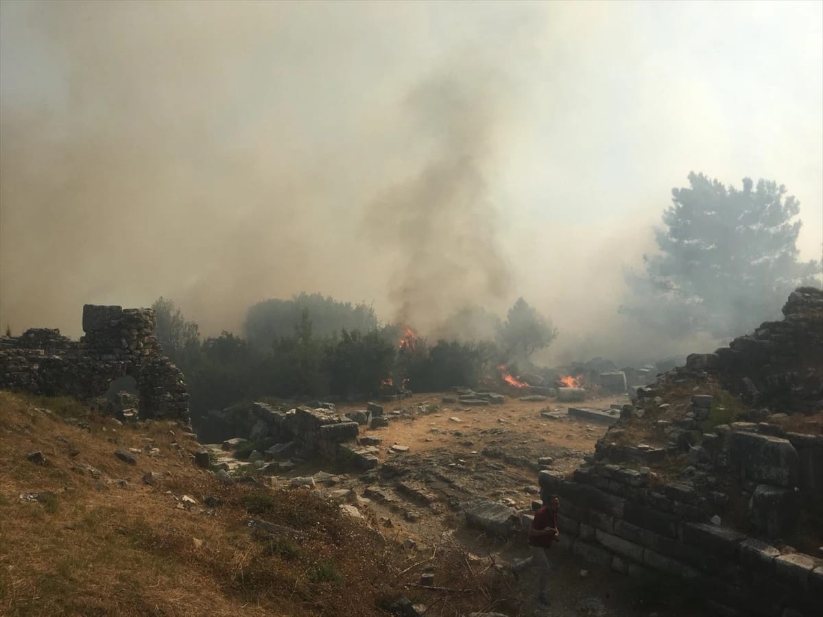 Aydın’da Zirai Alanda Çıkan Yangın Priene Antik Kenti’ndeki Ağaçlara Sıçradı