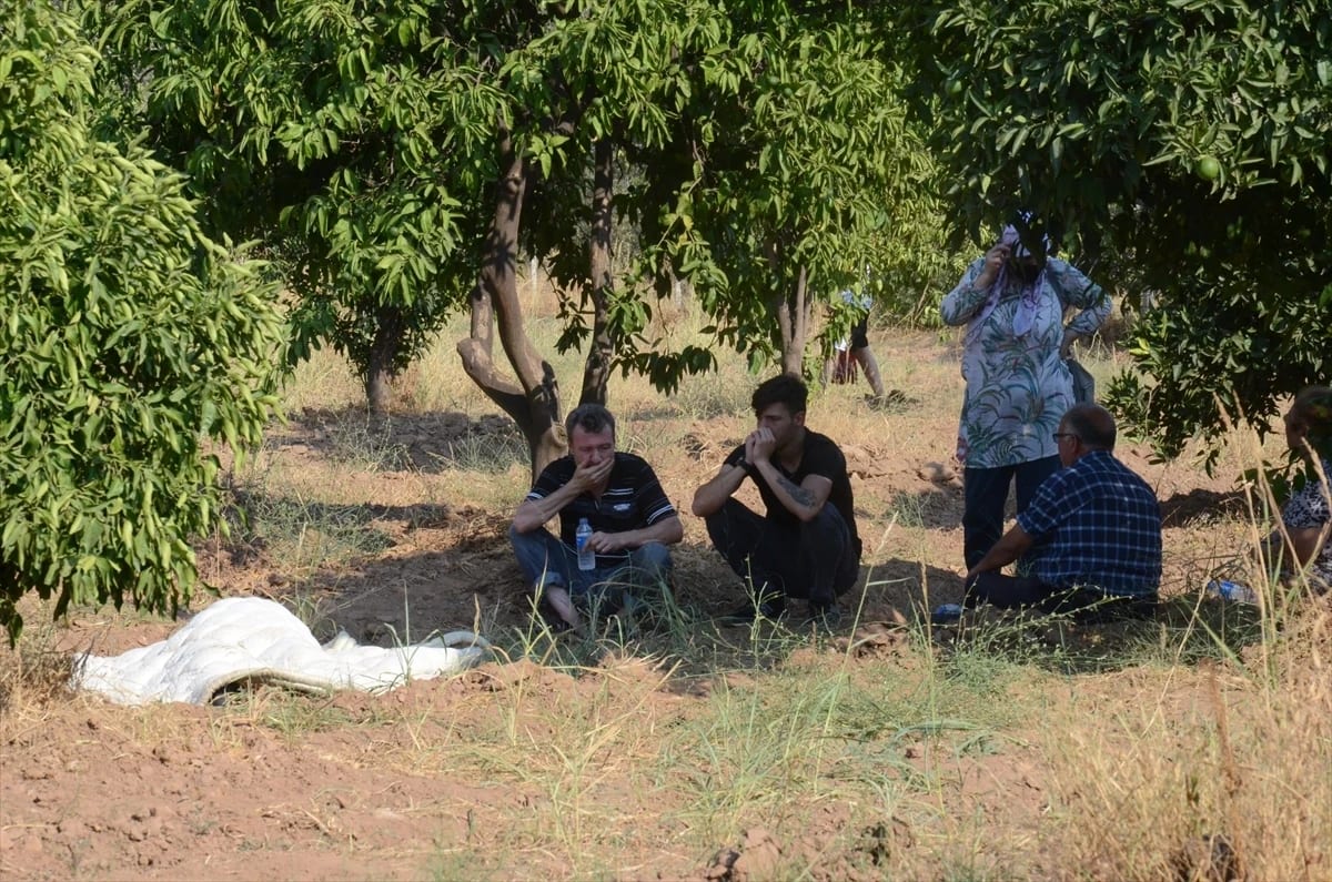 Aydın’da Portakal Bahçesinin Bekçisi Ölü Bulundu