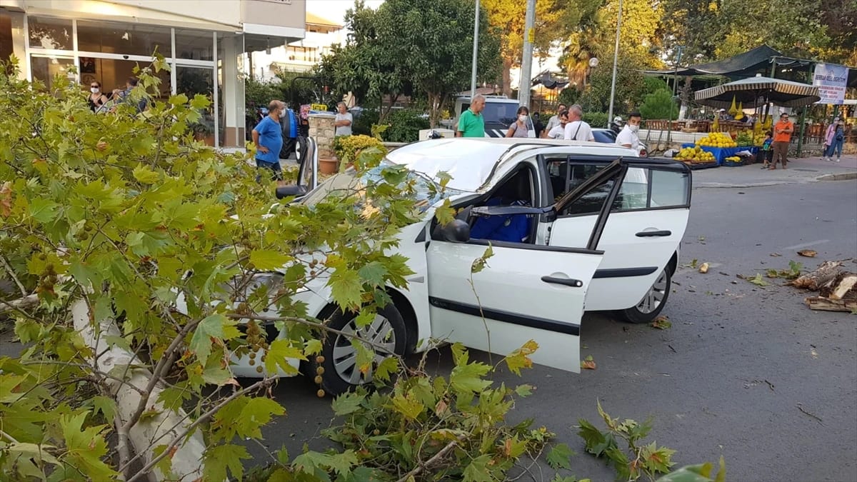 İzmir’de Üstüne Ağaç Devrilen Otomobilin Sürücüsü Yaralandı