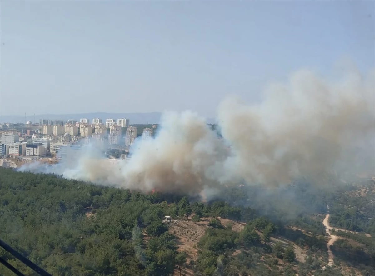 İzmir’de Ormanlık Alanda Yangın