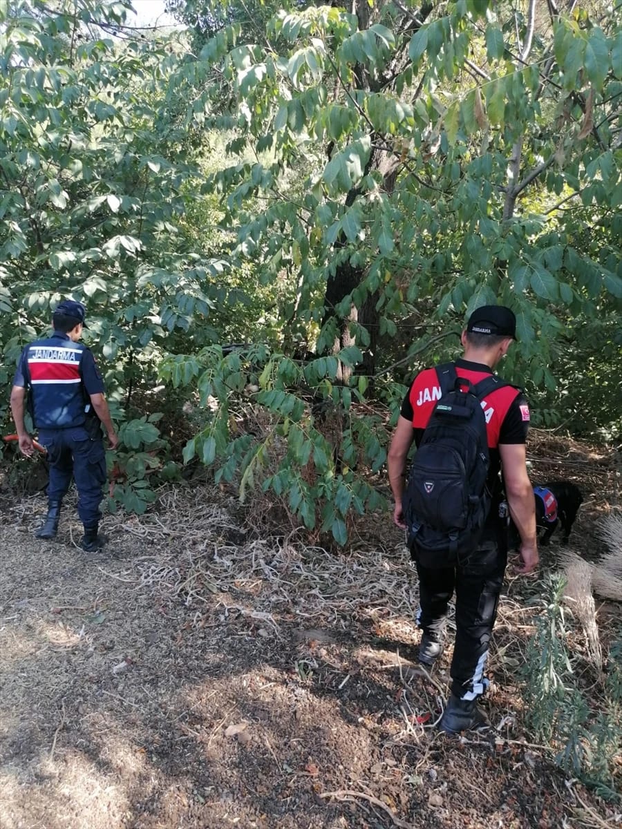 Muğla’da Yürüyüşe Çıktığı Ormanda Kaybolan Kadın Aranıyor