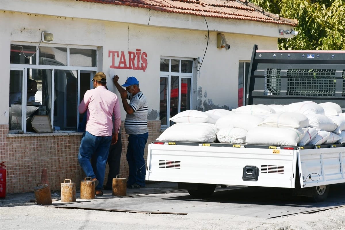 TMO, Manisa’da Kuru Üzüm Alımına Başladı