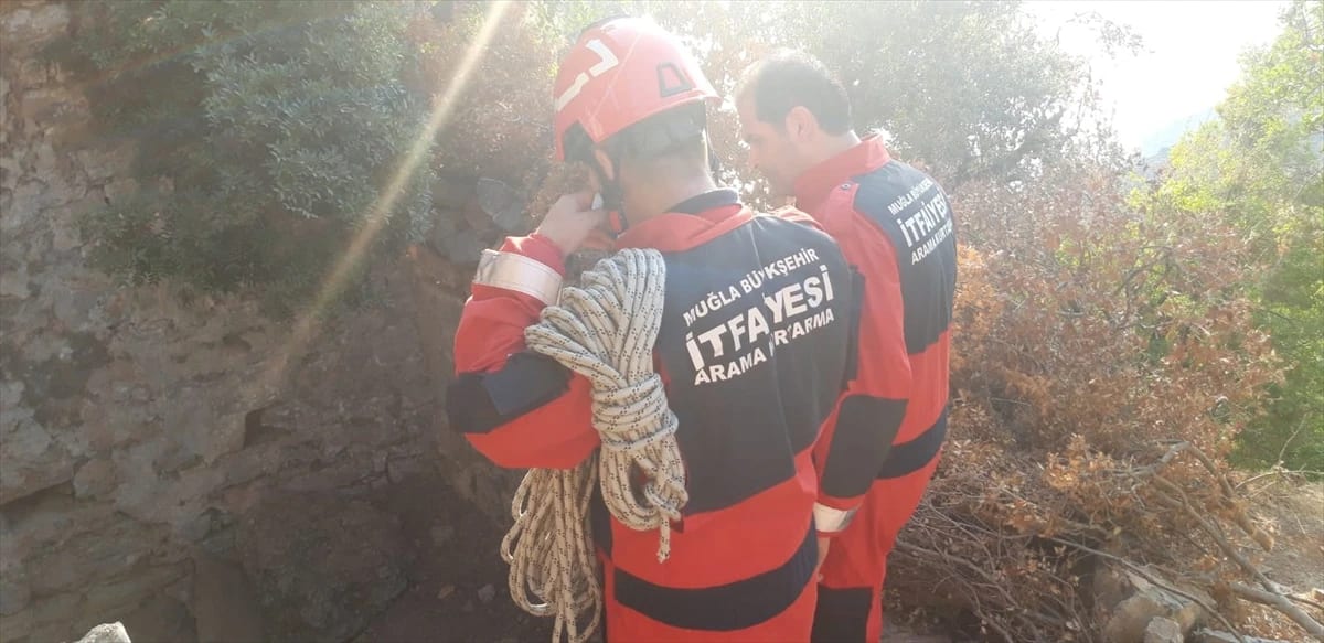 Muğla’da Çukura Düşen Keçi Kurtarıldı