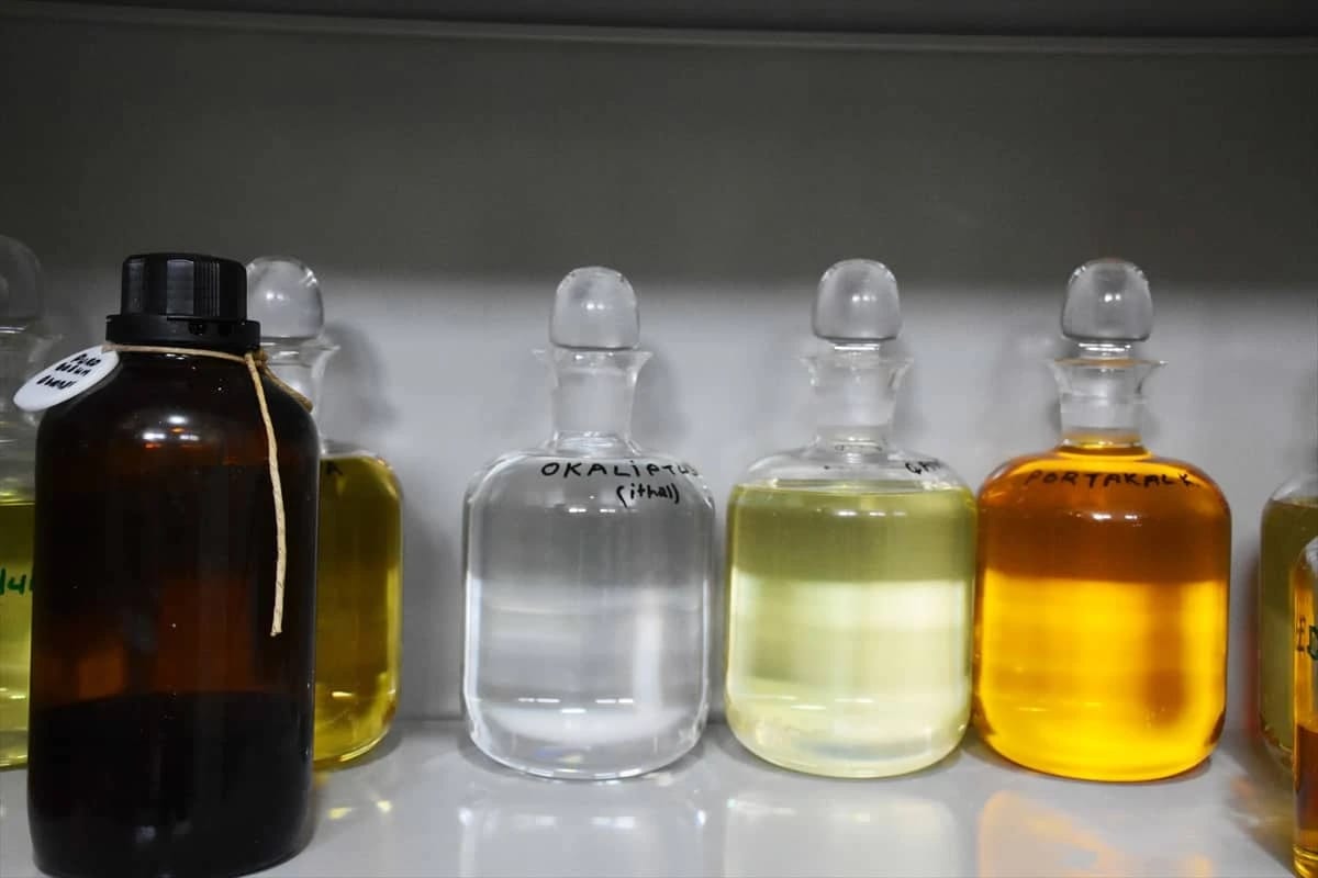 Yetiştirdikleri Tıbbi Aromatik Bitkiler Kadınlara Kazanç Oldu