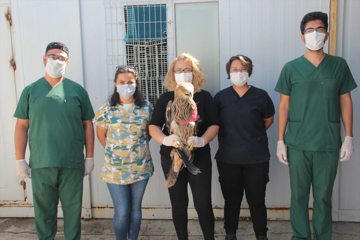 Ateşli Silahla Vurulan Şah Kartal Tedavi Altına Alındı
