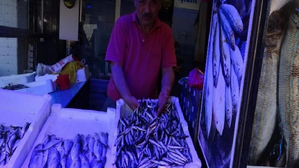 Trabzon’da Hamsi Tezgâhtaki Yerini Aldı