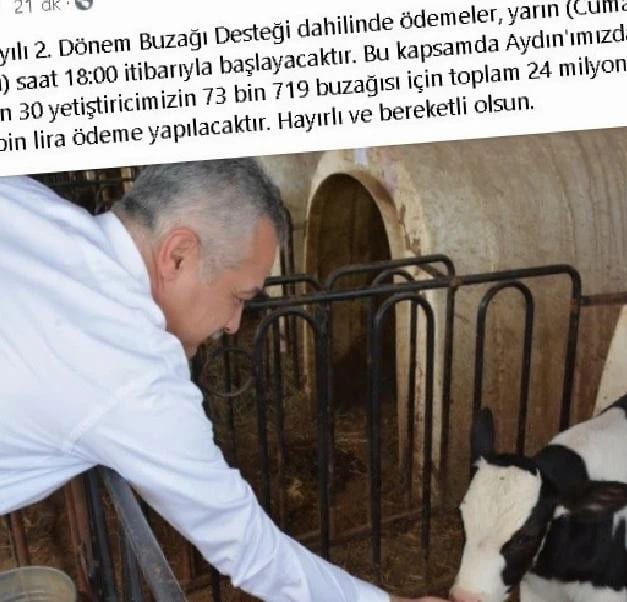 Buzağı Destek Ödemeleri Yarın Başlıyor