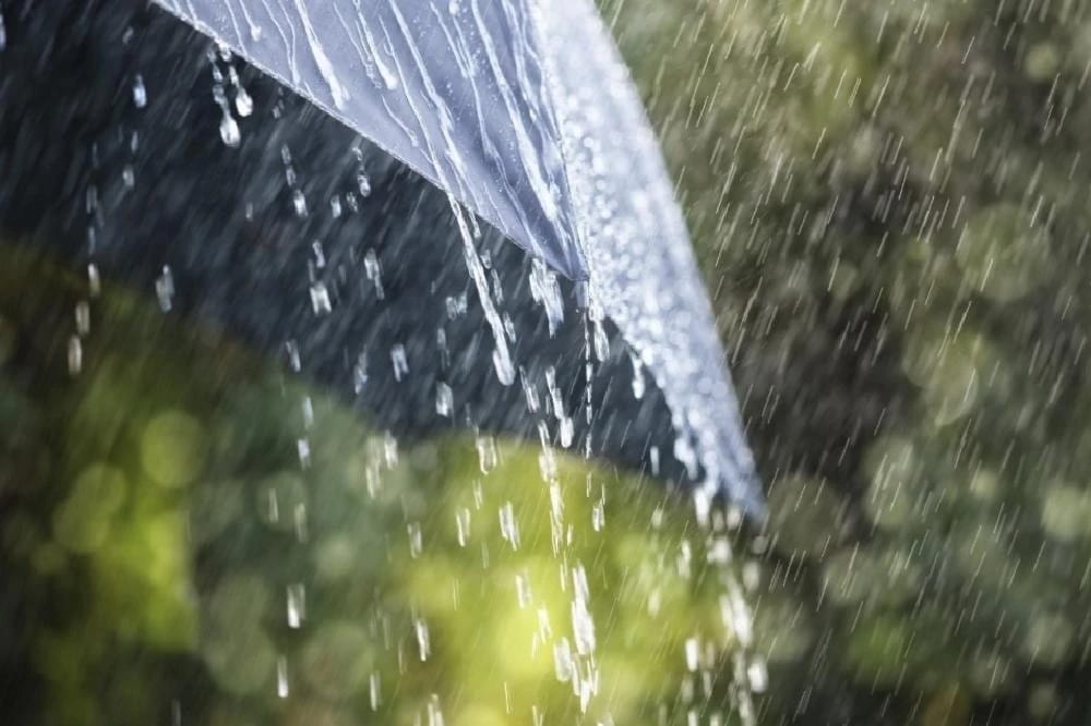 Aydın’da Yağışlı Hava Aralıklarla Sürecek