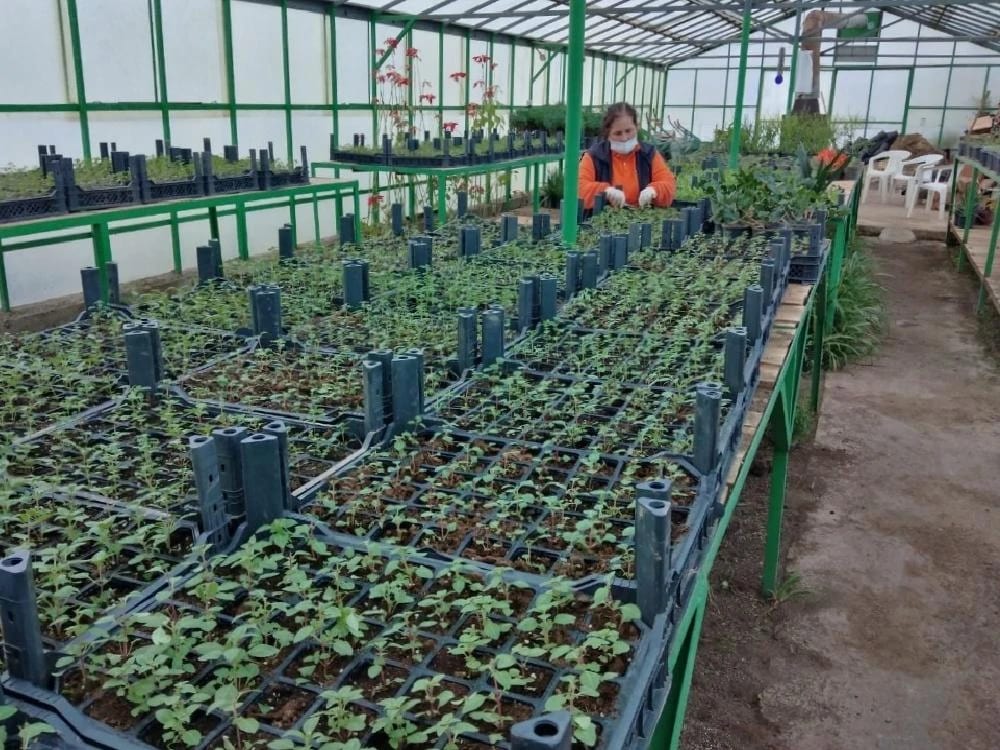Marmaris’in Çiçek Seraları 1,5 Milyon TL Tasarruf Sağlıyor