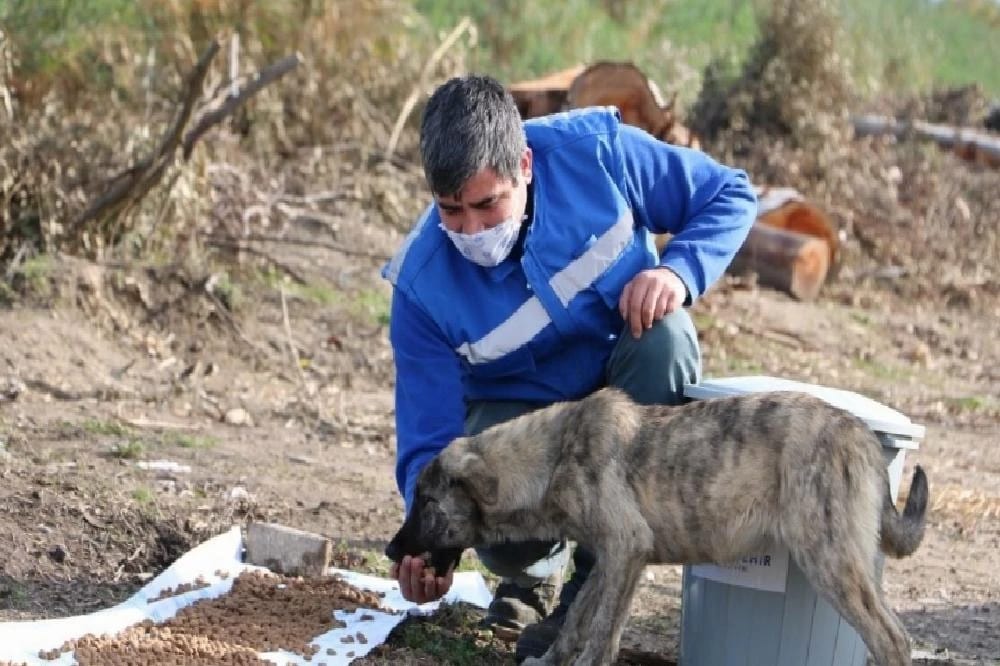 Büyükşehir Can Dostları Unutmadı