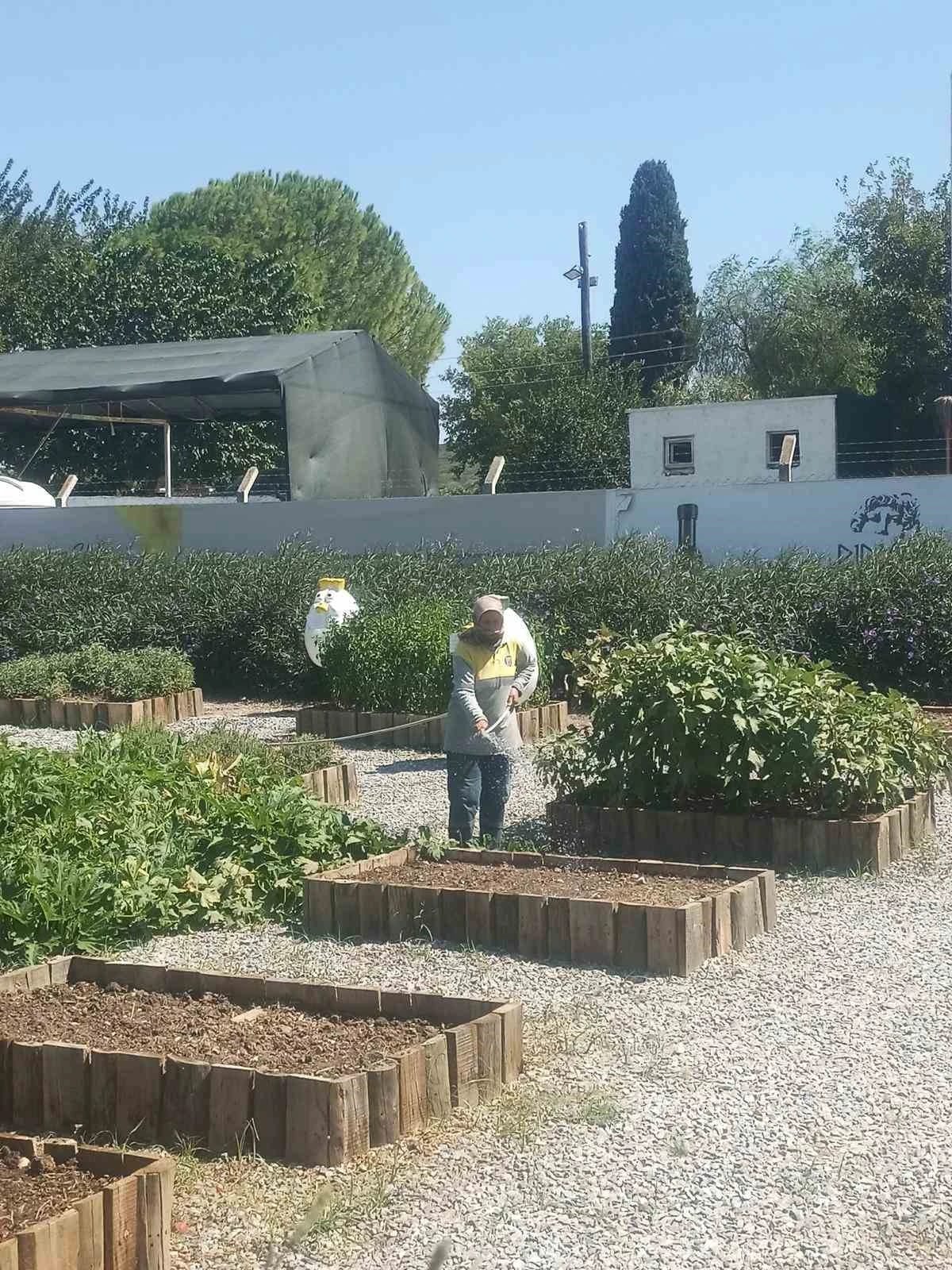 Didim Belediyesi’nden yeşil hamle