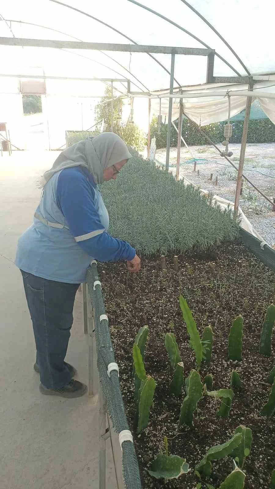 Didim Belediyesi’nden yeşil hamle
