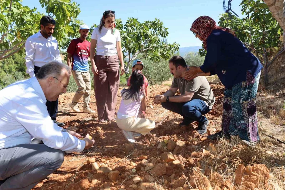 Kaymakam Battal, incir hasadında üreticilerle bir araya geldi