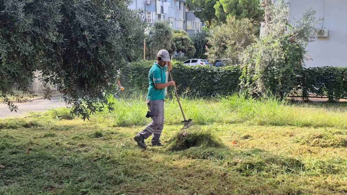 Kuşadası’nda yeşil alanlar bakıma alındı