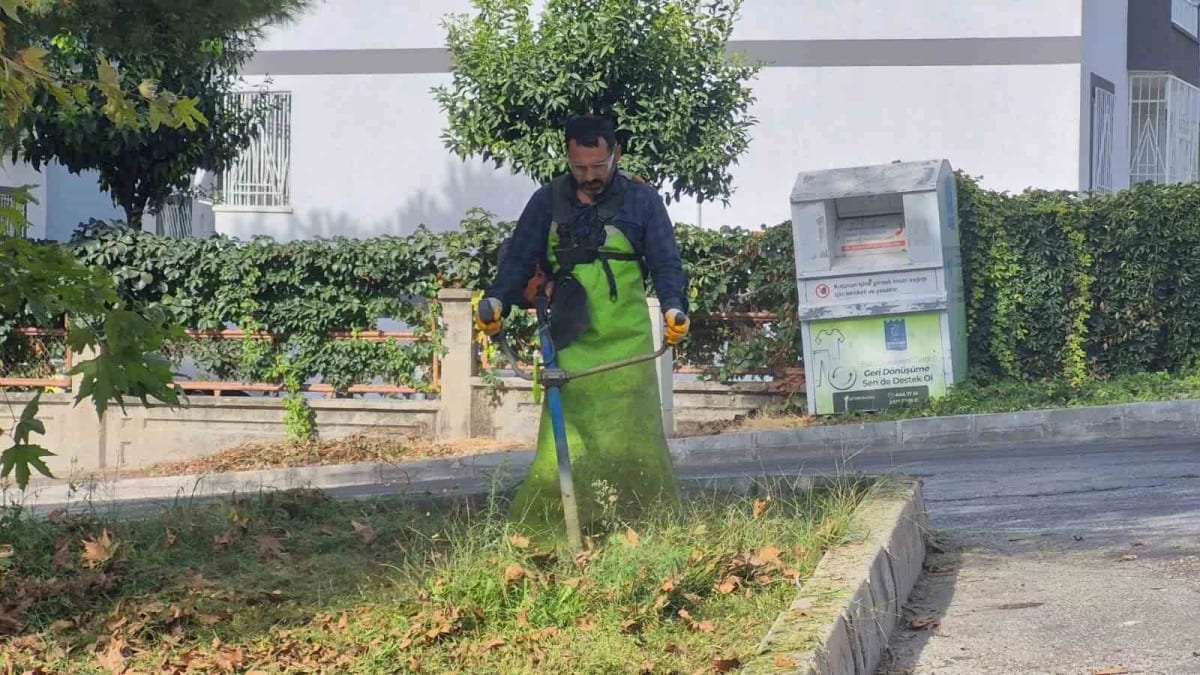 Kuşadası’nda yeşil alanlar bakıma alındı