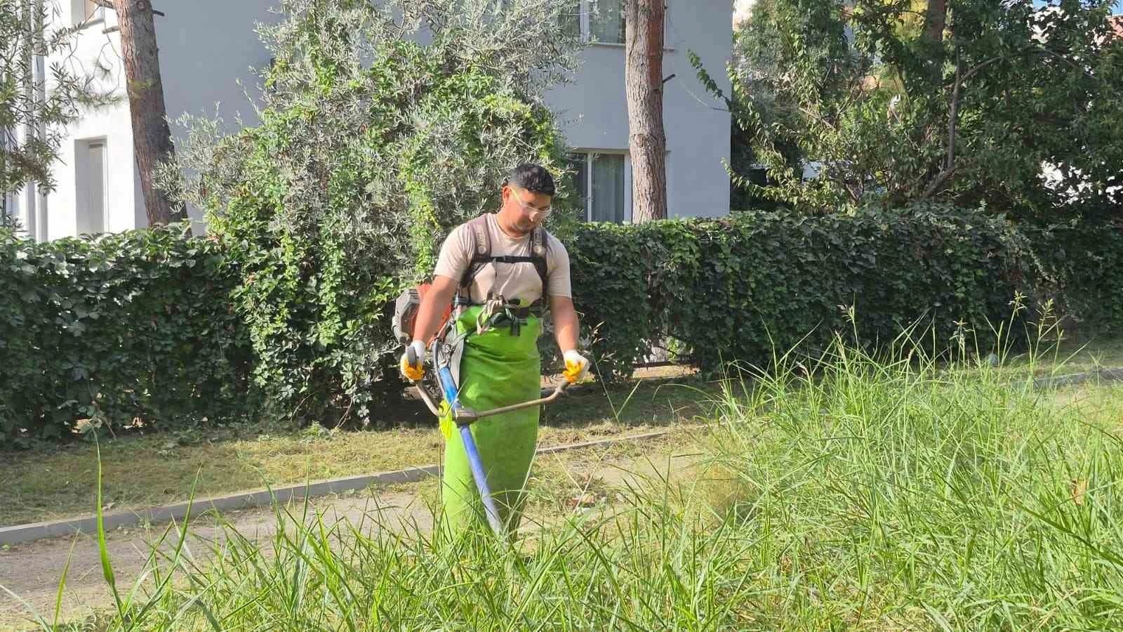 Kuşadası’nda yeşil alanlar bakıma alındı