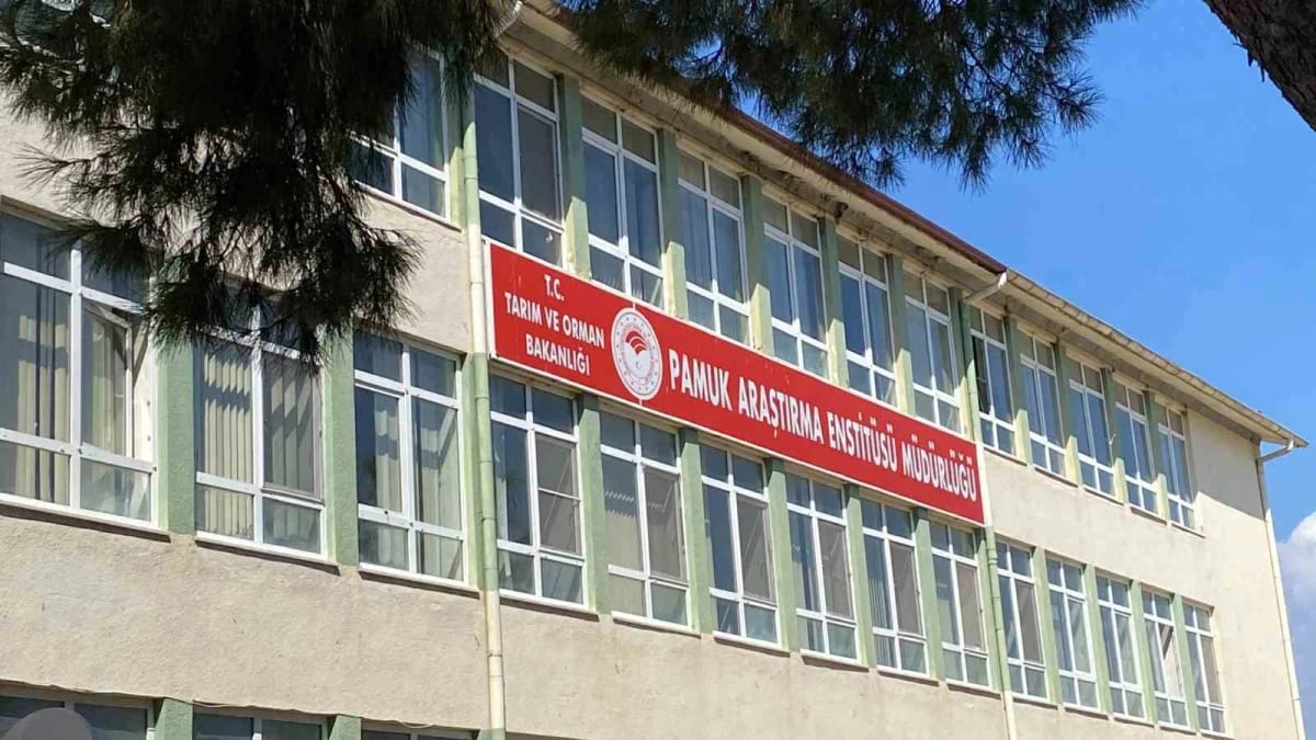 Pamuk Araştırma Enstitüsü’ndeki rüşvet iddiasına operasyon