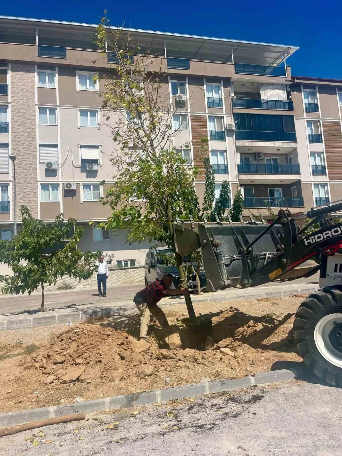 Sultanhisar’da ağaçlandırma çalışmaları sürüyor