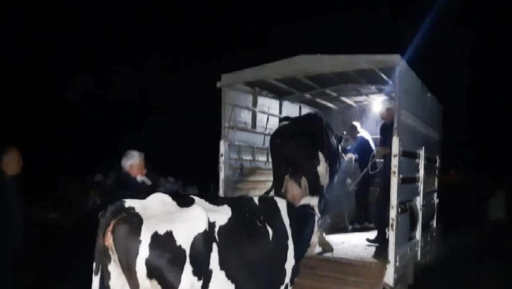 JASAT Araç İzlerini 7 Saat Takip Etti, Hayvan Hırsızlarını Yakaladı