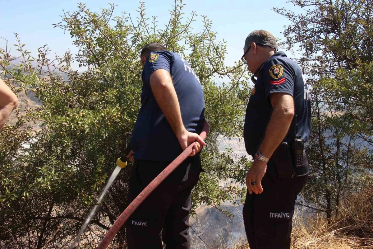Ekiplerin hızlı müdahalesi can dostları ve hastaneyi yanmaktan kurtardı