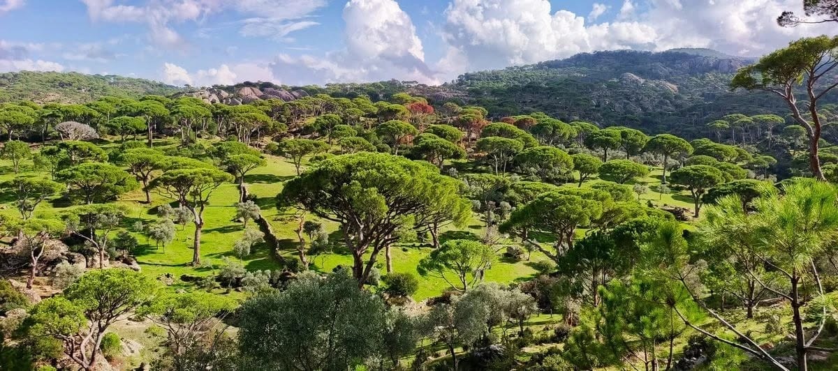 Latmos için milli park çağrısı